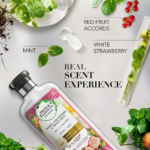 ⁦هيربل إسنسز بيو:رينيو شامبو بالفراولة البيضاء والنعناع الحلو - 400 مل⁩ - الصورة ⁦3⁩