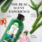 ⁦هيربال إيسنسز بلسم لتقوية الشعر بالصبار الفعال والبامبو - 400 مل⁩ - الصورة ⁦3⁩