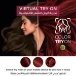 ⁦غارنييه صبغة الشعر اوليا دائمة وخالية من الامونيا - أشقر غامق⁩ - الصورة ⁦11⁩