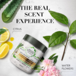 ⁦هيربال إيسنسز ماسك الشعر لتغذية الشعر المجعد بالصبار وزيت الأفوكادو - 250 مل⁩ - الصورة ⁦3⁩