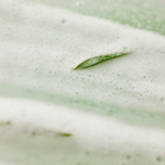 ⁦صابونة تنظيف الوجه عناية 30 يوما من سوم باي مي - 106غ⁩ - الصورة ⁦2⁩