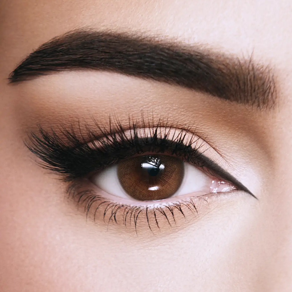 5667446_1738584848_6dd4369f0fe1072a475f728d5dfb5cf0 امارا عدسات زينة ملونة يومية - توفي - الصورة 1