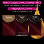 ⁦غارنييه صبغة الشعر اوليا دائمة وخالية من الامونيا - أحمر حاد⁩ - الصورة ⁦6⁩