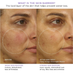 ⁦تاتشا انديجو كريم اصلاح ليلي - 50 مل⁩ - الصورة ⁦5⁩