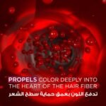 ⁦غارنييه صبغة الشعر اوليا دائمة وخالية من الامونيا - أشقر غامق⁩ - الصورة ⁦7⁩